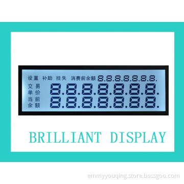 Custom Design Segment LCD Modules with RoHS Certifivates